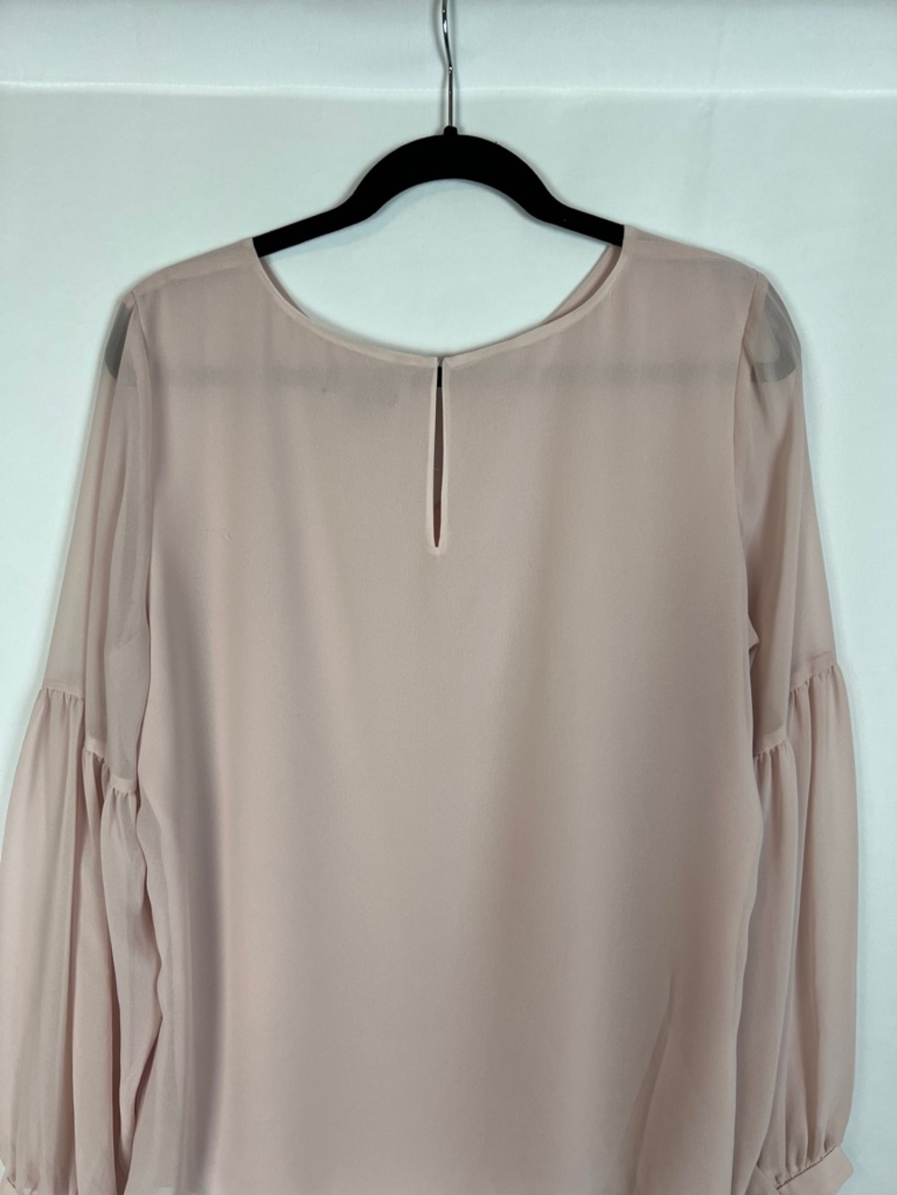 Express Blush Sheer Balloon Sleeve Top - Picture 6 of 13
